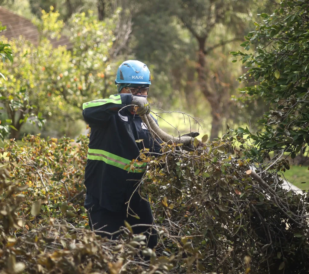 A man clear a brush in worley id