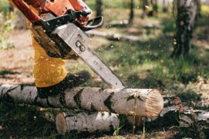 A man cut a tree in worley id